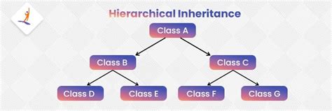 hierarchical inheritance in c++ javatpoint