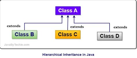 hierarchical inheritance in java program with output