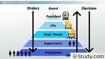hierarchy definition simple