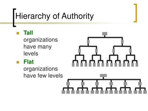 hierarchy of authority examples