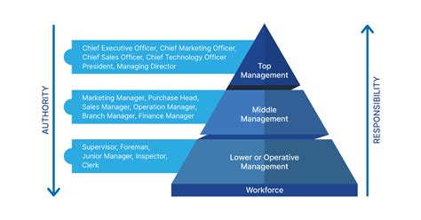 hierarchy of authority in management