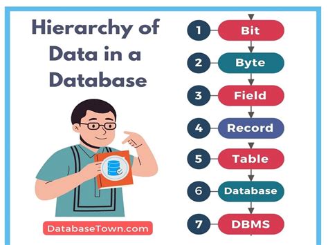 hierarchy of data in a database