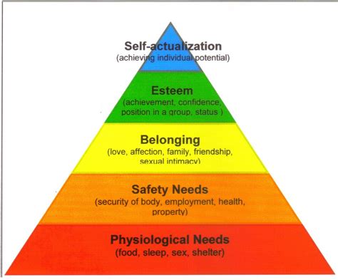 hierarchy of needs maslow examples