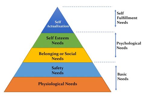 hierarchy of needs theory definition