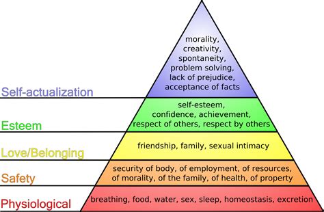 hierarchy of needs theory example
