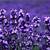 high resolution lavender wallpaper