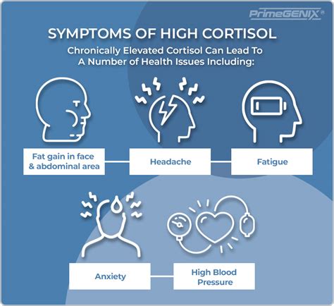Understanding High Cortisol Meaning: What Your Body's Stress Signal Is Telling You