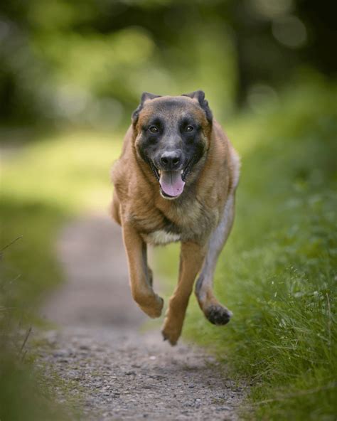 Unlock Your High Drive: Discover the Secret to Unleashed Success