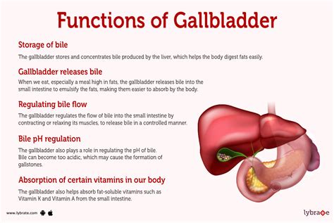 High Enzymes Gallbladder