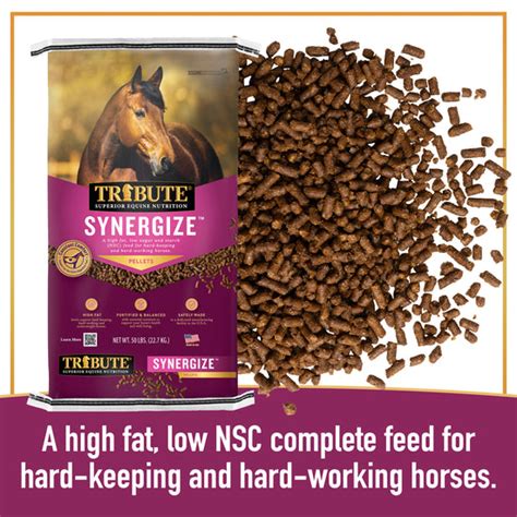 high fat equine feed