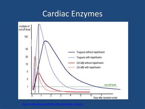 Understanding Elevated High Heart Enzymes: Causes and Implications