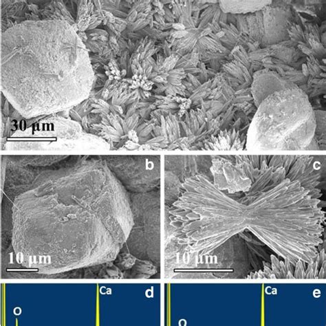 High Magnesium Calcite