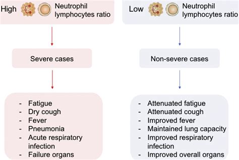 high neutrophils low lymph