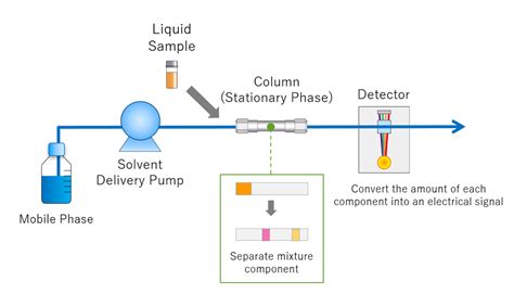 High Performance Liquid Chromatography Sample Analysis
