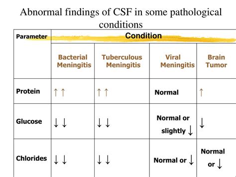 High Protein In Csf Multiple Sclerosis