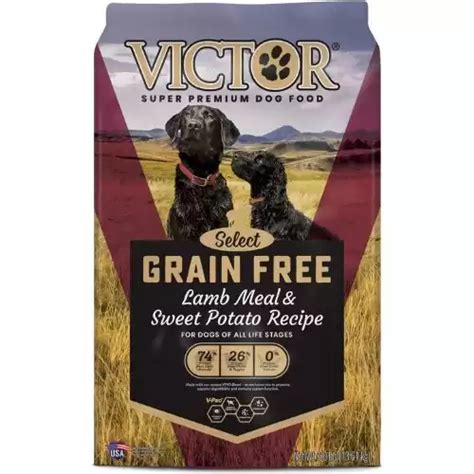 High Protein Low Fiber Dog Food