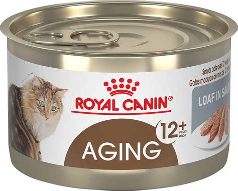 high protein wet cat food