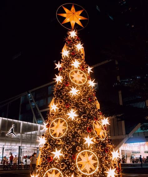 High Quality Christmas Tree Philippines