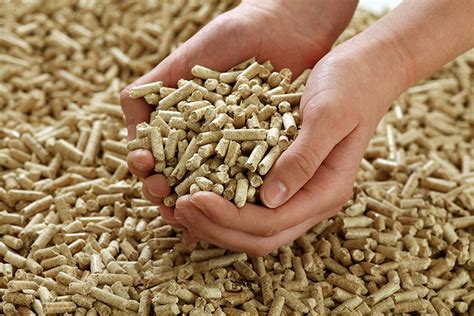 High Quality Wood Pellets