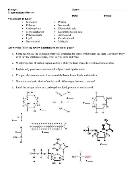 high school macromolecules worksheet answers