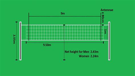 High School Volleyball Net Width