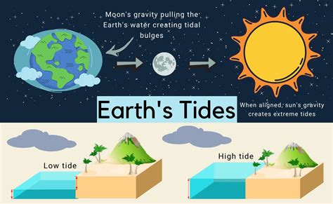 high tide and low tide explanation for kids