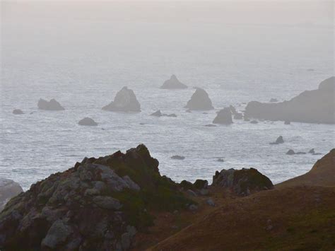 High Tide Bodega Bay