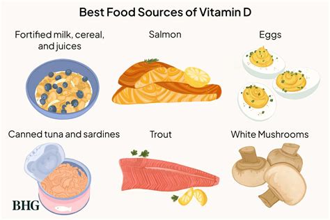 high vitamin d foods