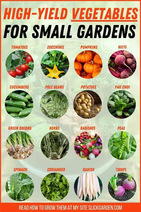 High Yield Vegetables For Garden