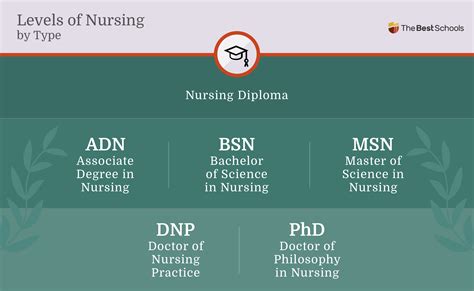5 Nursing Degree Levels