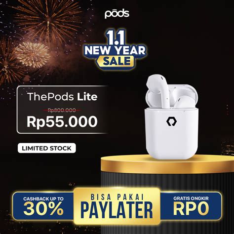 highest price earphone