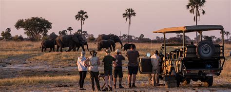 highest rated south africa tours