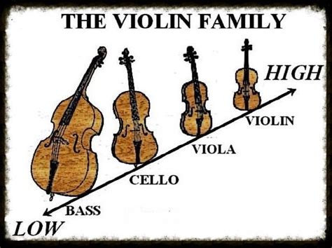 Highest To Lowest Range String Instruments