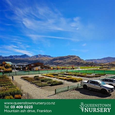 Highland Nursery: Best Exotic Plants Revealed!