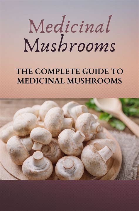 highly rated books on medicinal mushrooms