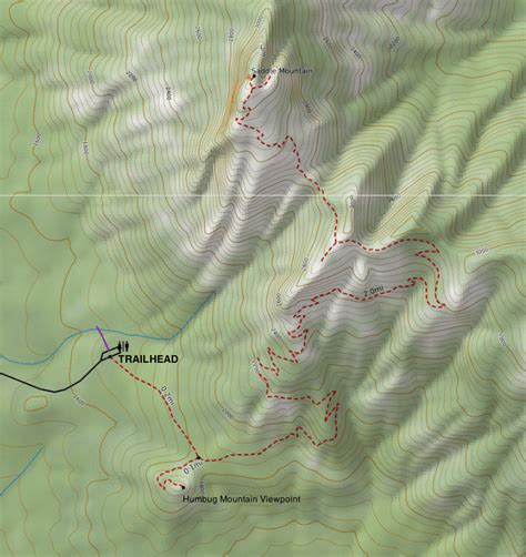 Hiking Saddle Mountain Trail Restrictions