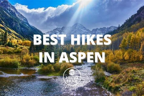 Tourist Hiking In Aspen Grove At Autumn Stock Photo Download Image