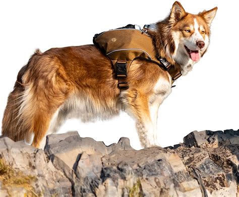 Ruff Wear Approach Pack Dog Hiking Backpack® Best Gadget Store