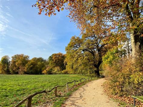 The Top Hiking Trails in Berlin