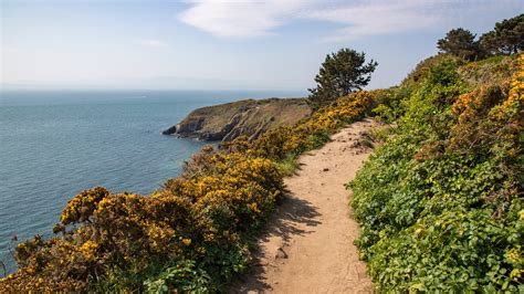 Dublin Mountains Walking & Hiking Dublin's Outdoors