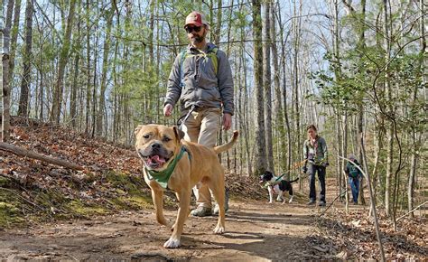 Outdoors Hiking Hounds at the NC Arboretum The Laurel of Asheville