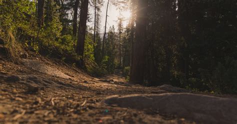 Best Hiking Trails near Aurora, Colorado AllTrails