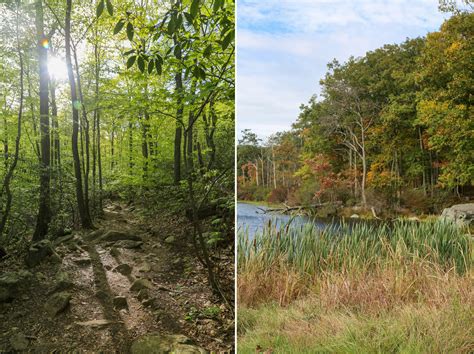The Hiking Trails In Pennsylvania That Will Take You To A