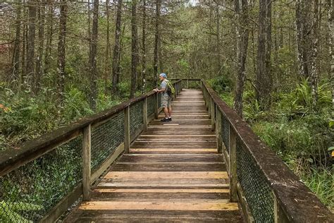 Hiking in Naples Florida 5 Fun & Accessible Walking Trails and