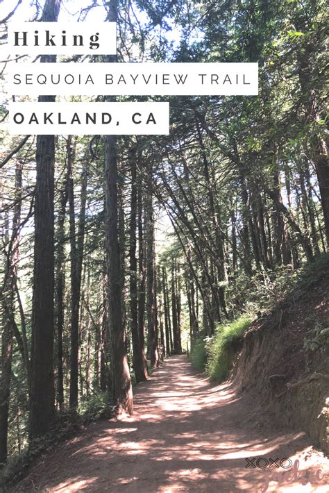 Hiking in Oakland Redwood Park Regional Park Livin' 2 Live