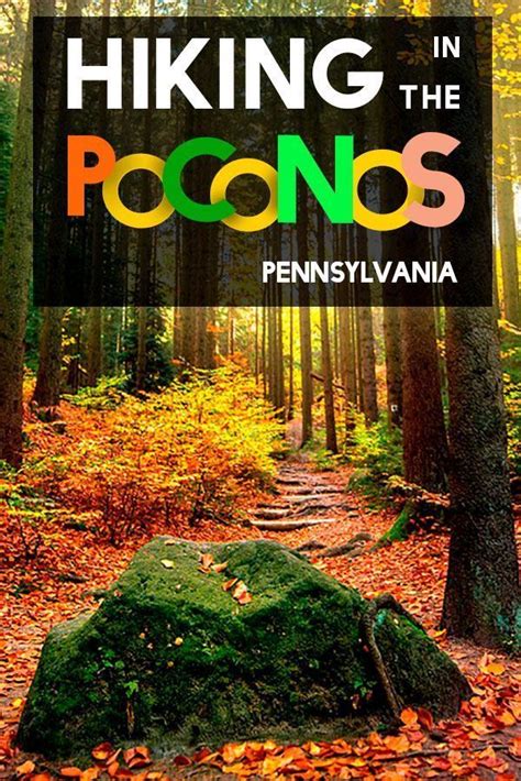Six Pocono Hiking Trails to Experience Fall Foliage