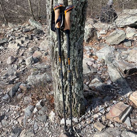 Hiking Pole Recommendations Reddit