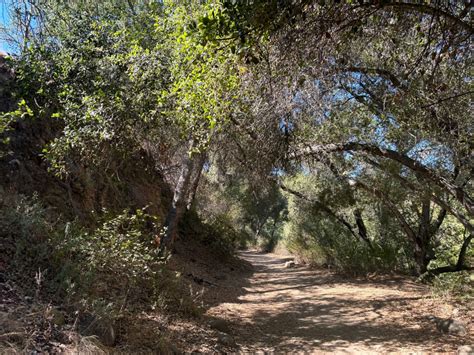 Hiking NB Fall Brook Falls Trail