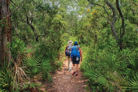 9 Best Hikes In Beautiful Florida