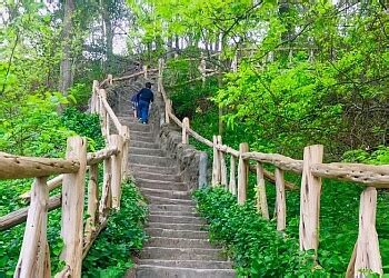 10 Amazing Hikes Near Houston Hamilton pool, Best places to camp